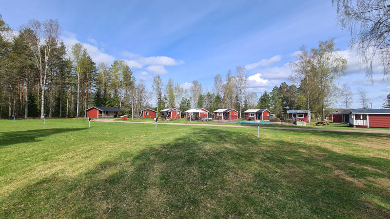 Grönytor inför sommaren